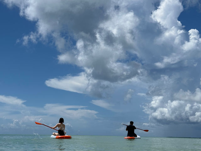 COORPAROO�y�N�[�p���[�z