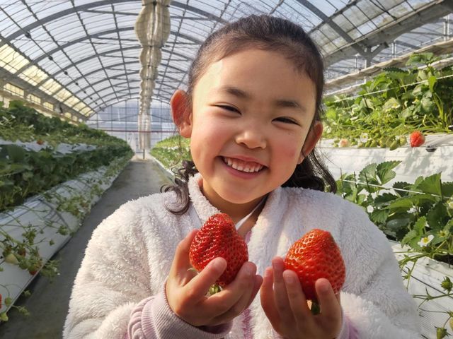 Ƃ悭ɂӂ[ފό_̎ʐ^1