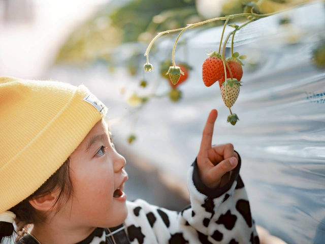 �Ƃ悭�ɂӂ��[�ފό��_��