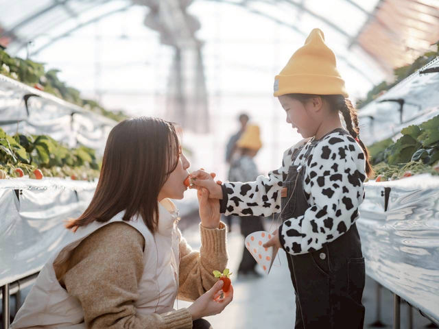 �Ƃ悭�ɂӂ��[�ފό��_��