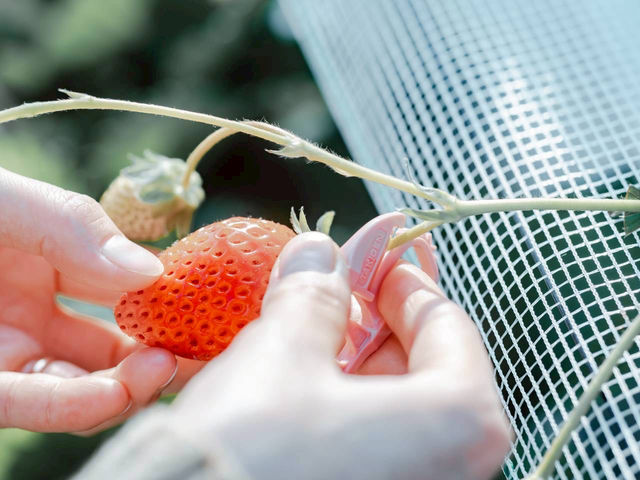 ��������p�̃n�T�~�����p�ӂ��Ă���܂��B_�Ƃ悭�ɂӂ��[�ފό��_��