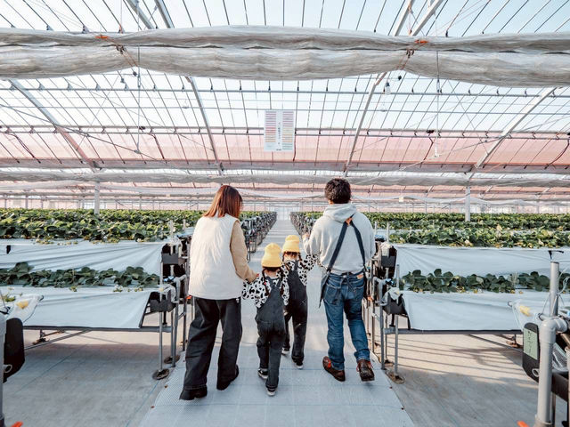 �x�r�[�J�[��Ԉ֎q���������ʂ��o���A�t���[�݌v�ɂȂ��Ă��܂��B_�Ƃ悭�ɂӂ��[�ފό��_��