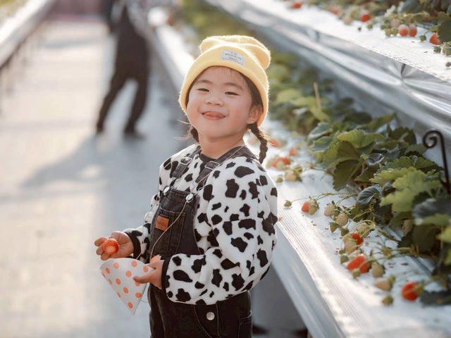 �Ƃ悭�ɂӂ��[�ފό��_��