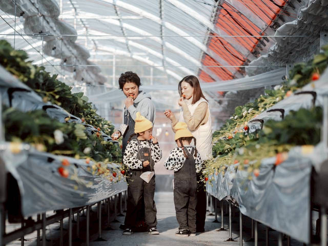 �Ƃ悭�ɂӂ��[�ފό��_��