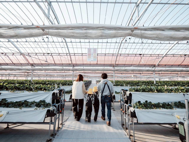 �Ƃ悭�ɂӂ��[�ފό��_��