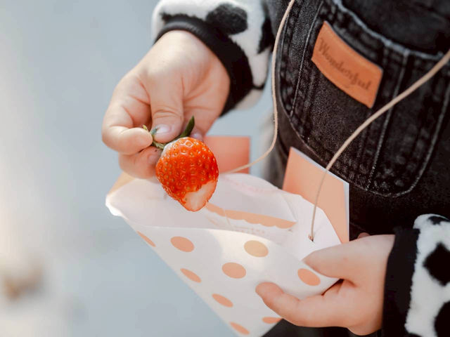 �w�^����͎񂩂牺���Ă��g�p���������B_�Ƃ悭�ɂӂ��[�ފό��_��