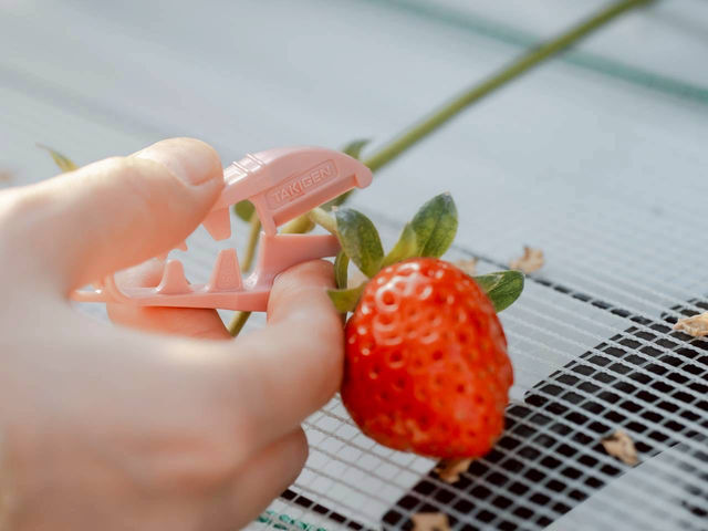 �Ƃ悭�ɂӂ��[�ފό��_��