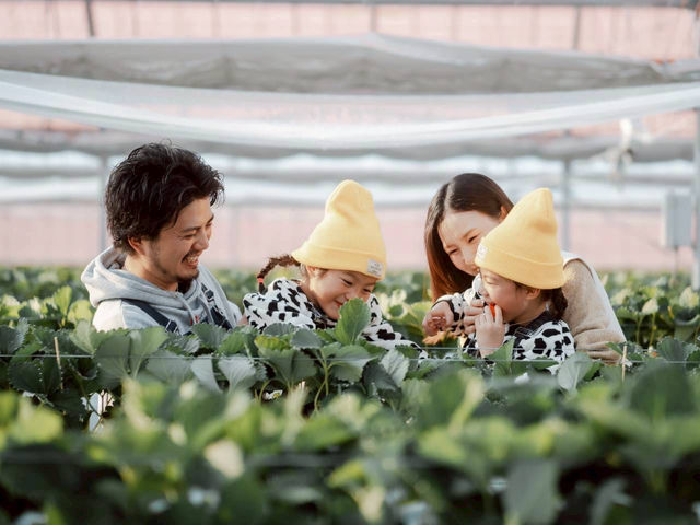 �Ƃ悭�ɂӂ��[�ފό��_��