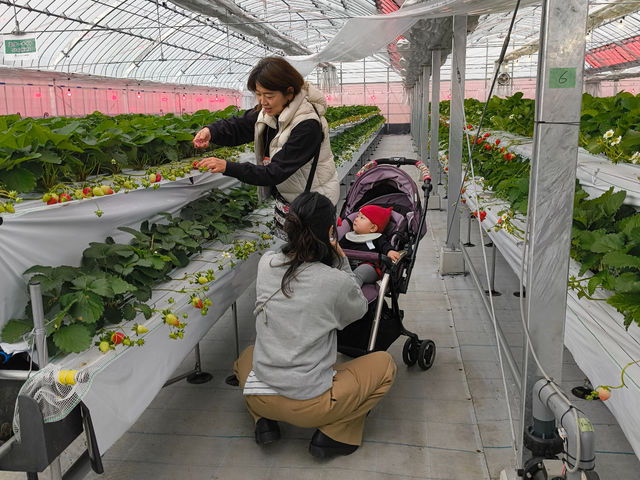 �x�r�[�J�[��Ԉ֎q���������ʂ��o���A�t���[�݌v�ɂȂ��Ă��܂��B_�Ƃ悭�ɂӂ��[�ފό��_��