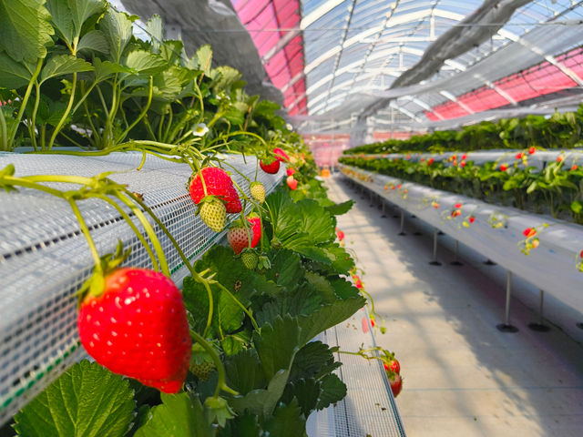 �Ƃ悭�ɂӂ��[�ފό��_��