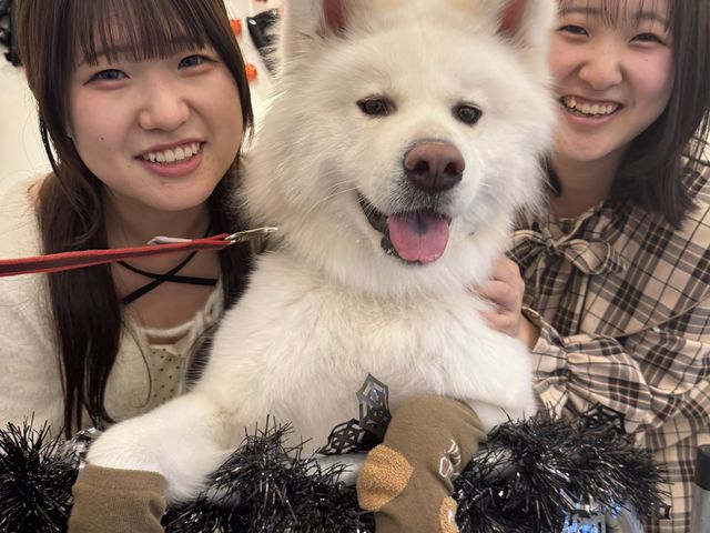 т̏HcƂӂꂠ錃AX|bgI_Hccafe