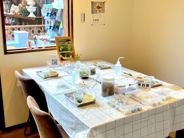 yAĂy݂ācc_mintmoss