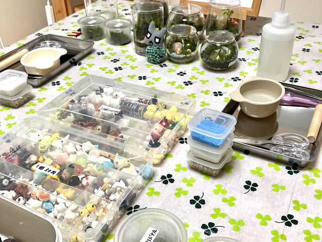 ̃Xg[[cE낤II_mintmoss