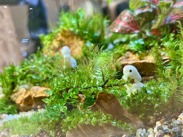 킽̔閧̗VяI_mintmoss