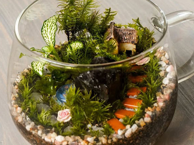 䂪Ƃւ悤I_mintmoss