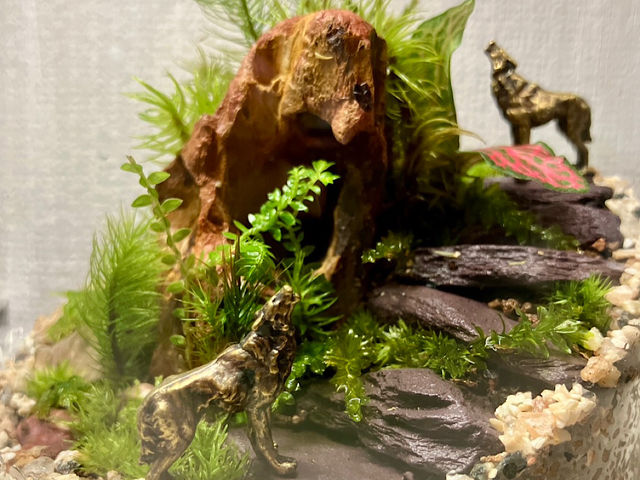 KieEBTBX֍sI_mintmoss