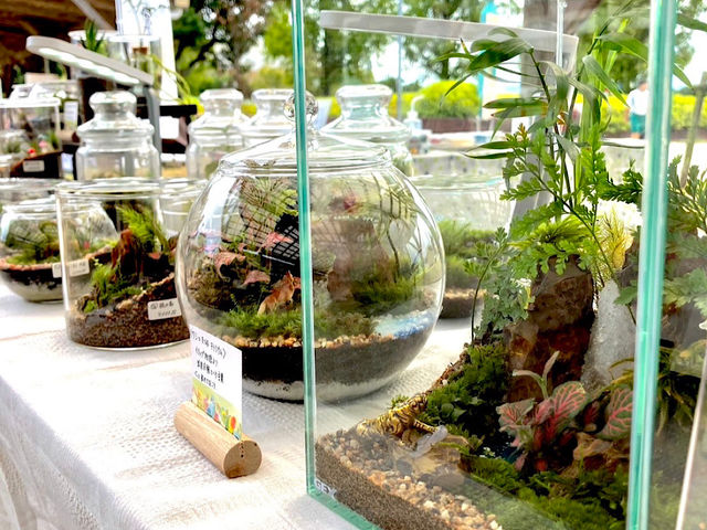 ۃeE̐Eցcc_mintmoss