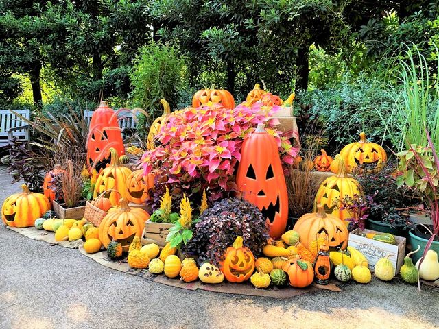 nEBEfBXvC̗lq_lCObVK[f