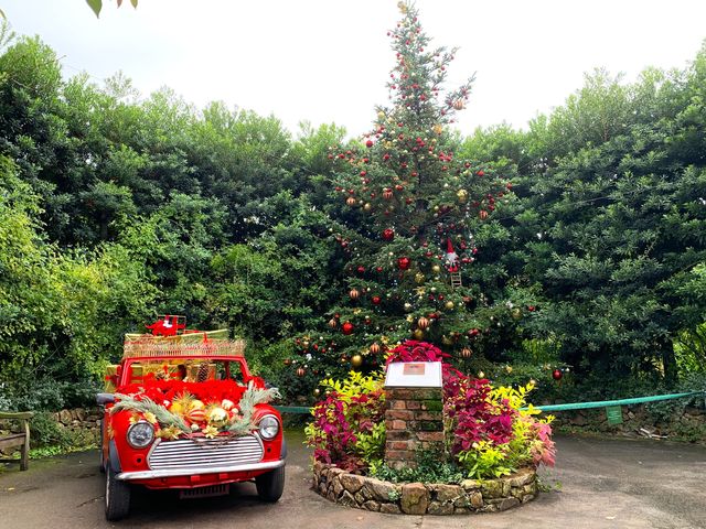 NX}XEfBXvC@_lCObVK[f