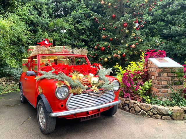 NX}XEfBXvCA_lCObVK[f