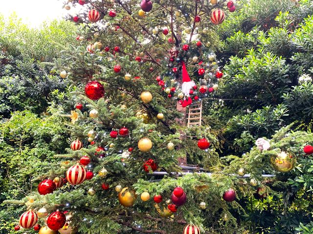 NX}XEfBXvCB_lCObVK[f