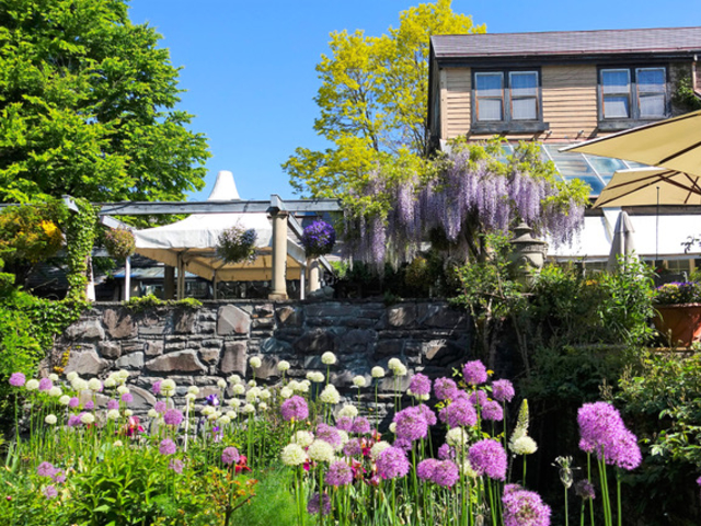 ���ȍ��� �o���N�� �C���O���b�V�� �K�[�f��