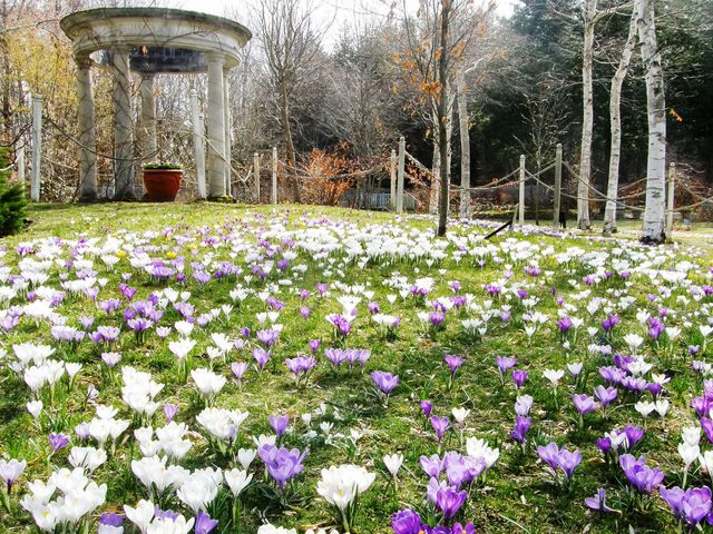 ���ȍ��� �o���N�� �C���O���b�V�� �K�[�f���̎ʐ^1