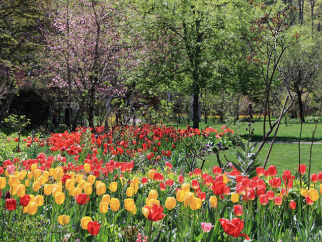 ���ȍ��� �o���N�� �C���O���b�V�� �K�[�f��