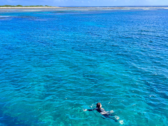 世界と比べても遜色ないほど綺麗な沖縄の海で大自然を感じてみてね!_真心ダイバーズ