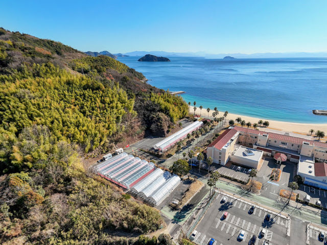 �}���b�T�x���[�t�@�[���̎ʐ^1