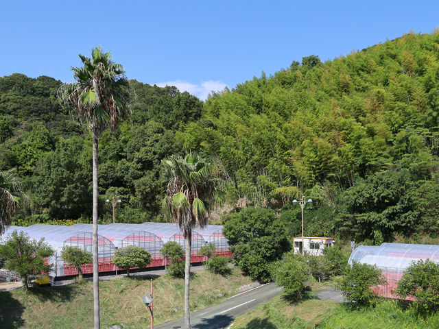 �������Z�Ȏ��ӊ��ŁA���������̍��ԂŎ��ӎU������y���݂��������܂��B_�}���b�T�x���[�t�@�[��