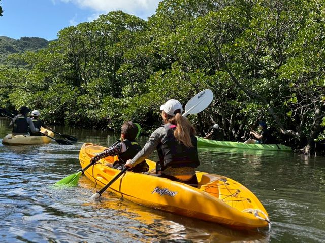 OsO][gStarOcean̎ʐ^1