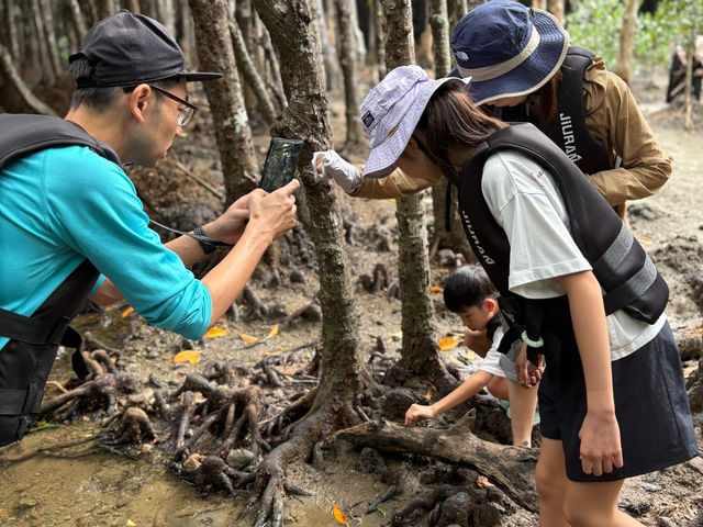 �}���O���[�u�W�����O�����̊����Ő������ώ@�I
�F�N�₩�ȃJ�j�A�g�r�n�[�Ȃǒ��������������܂��I_�O�����s���O���]�[�gStarOcean