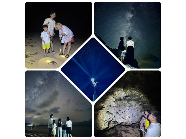 ����ۂނ悤�Ȑ�������Ɂ�_�O�����s���O���]�[�gStarOcean