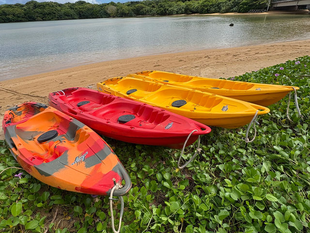 JbN͐VpӂĂ܂_OsO][gStarOcean