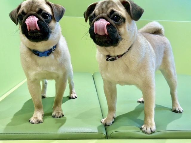 ���ʃJ�t�FRio �r�ܓX