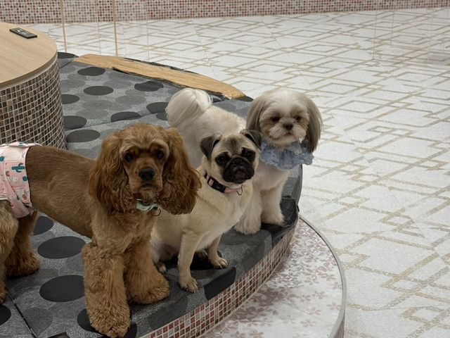 �Ԃ�����cafe