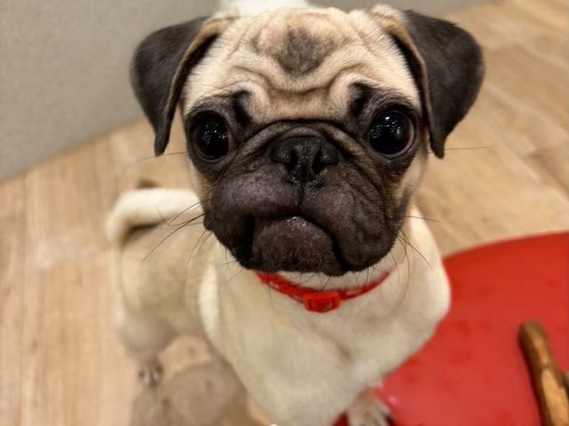 �Ԃ�����cafe