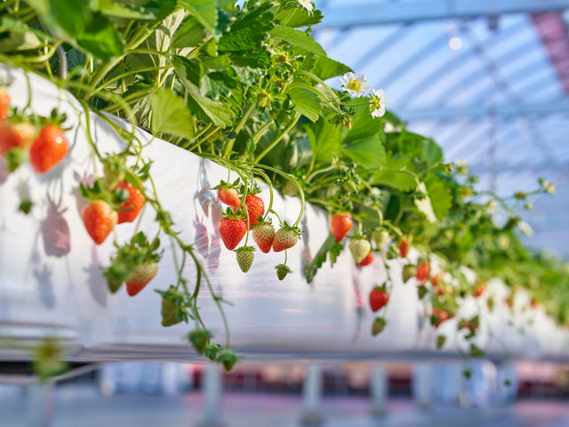 �A�X�g���x���[