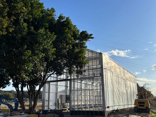 ���q�R��t�_�� �Ó쓡�򂢂����n�E�X