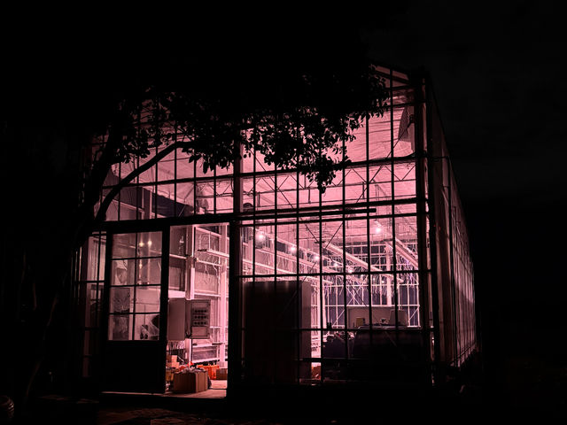 ���q�R��t�_�� �Ó쓡�򂢂����n�E�X