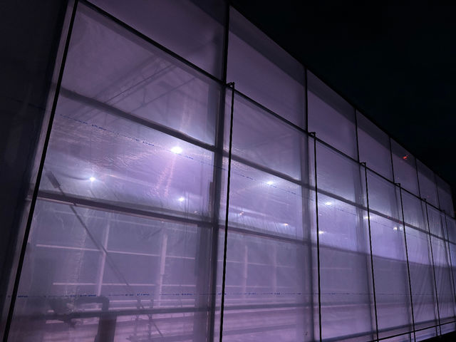 ���q�R��t�_�� �Ó쓡�򂢂����n�E�X