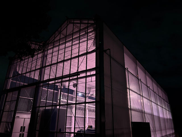 ���q�R��t�_�� �Ó쓡�򂢂����n�E�X