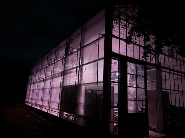 ���q�R��t�_�� �Ó쓡�򂢂����n�E�X