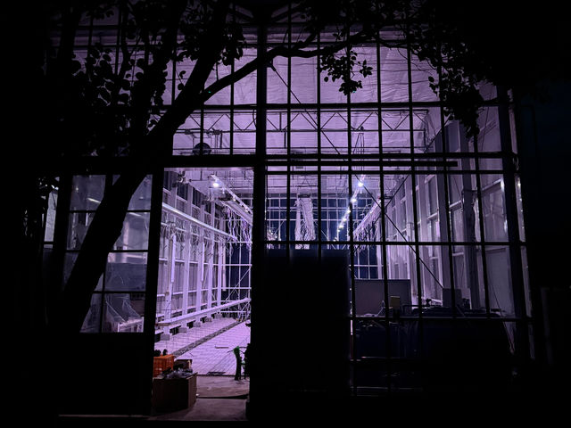 ���q�R��t�_�� �Ó쓡�򂢂����n�E�X