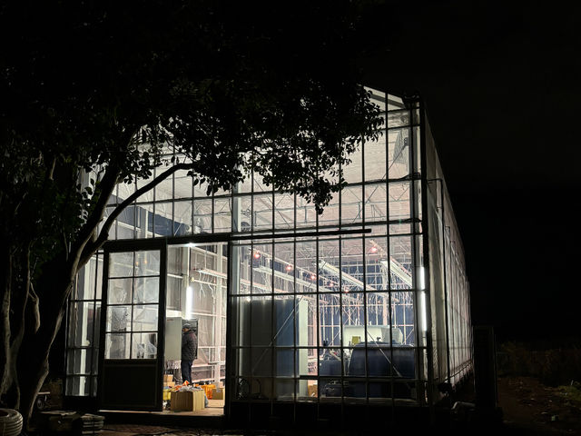 ���q�R��t�_�� �Ó쓡�򂢂����n�E�X