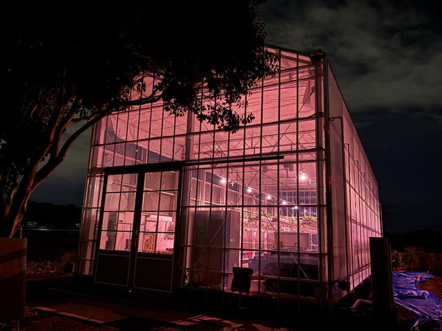 ��� (���炢����)