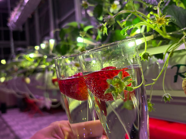 ��� (���炢����)