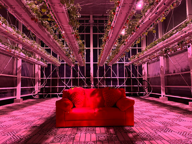 ��� (���炢����)