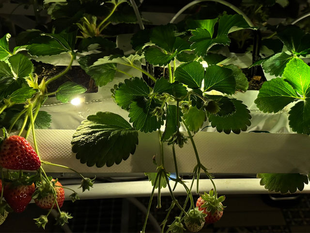 ��� (���炢����)